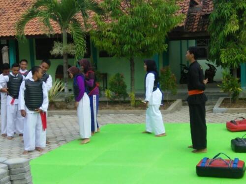 Ekstra-Pencak-Silat